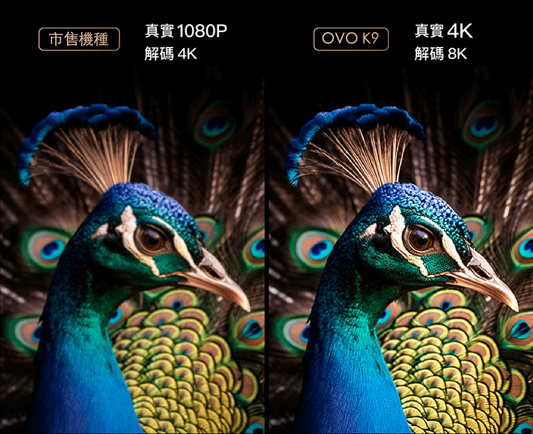 OVO 超高畫質，4K HDR。